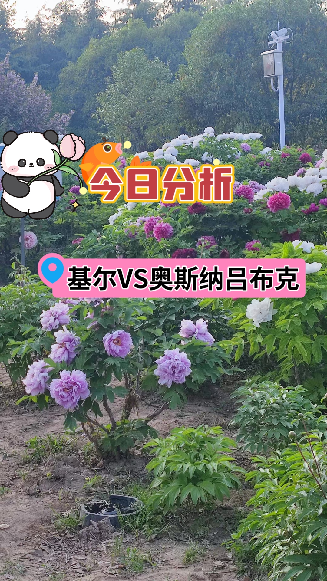基尔在豪起四连胜后，他们目前排名直迫榜首位置。虽然奥斯纳里布克状态回勇，取得两连胜。但他们客场能力低下，进攻乏力， 近15场仅打入13粒，其中6场交出白券。如此一来，基尔值得支持。
