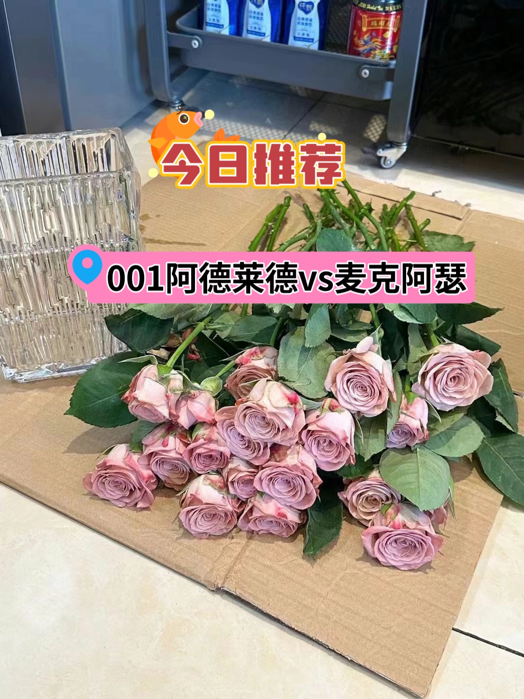 阿德莱德联VS麦克阿瑟FC
阿德莱德联近期状态不俗，上一轮联赛客场4比2大胜博斯光荣，取得联赛3连胜。是役迎战遭遇2连败兼后防线合共失7球的麦克阿瑟FC，阿德莱德联主场称雄在即。