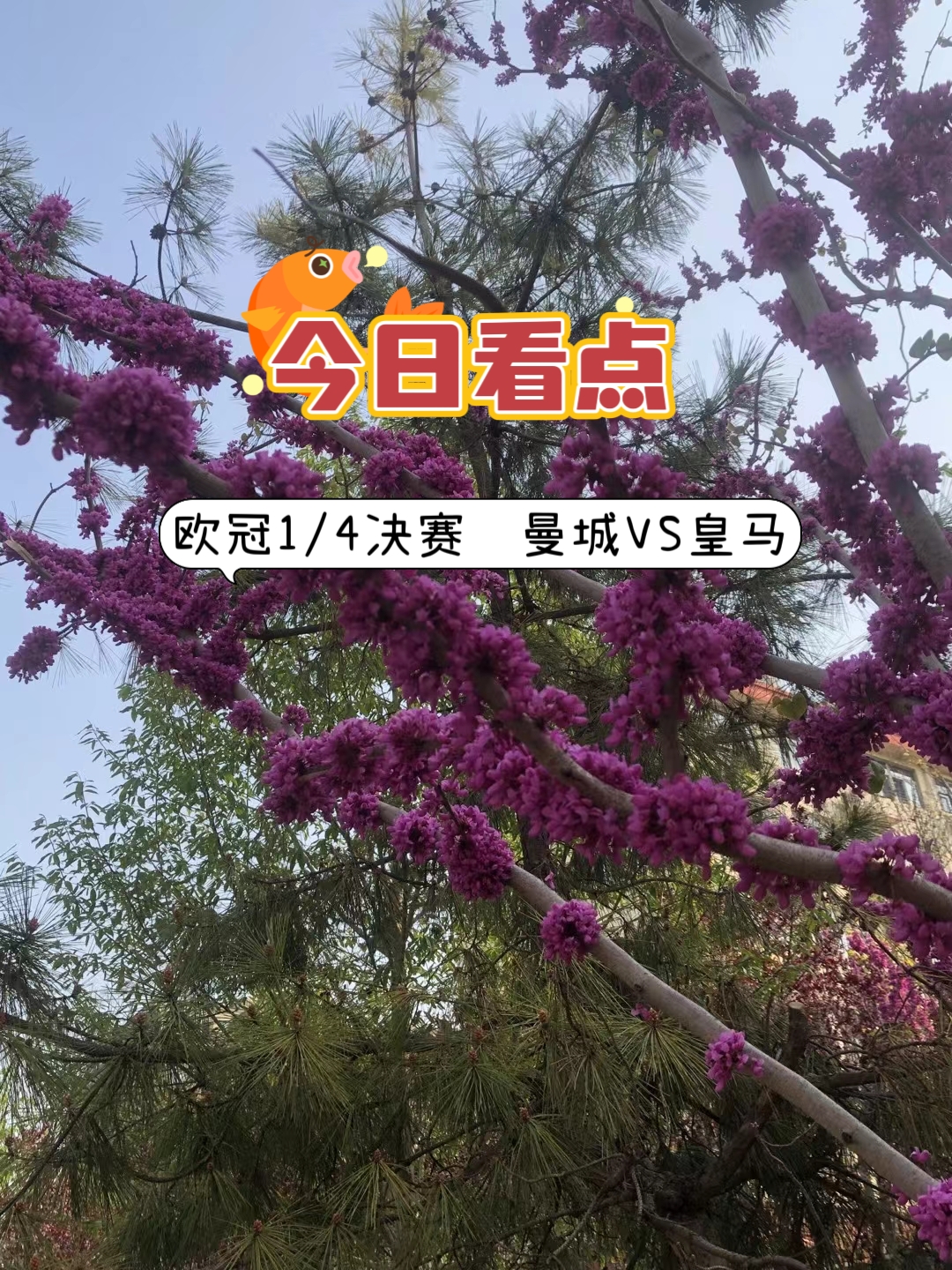 曼城状态极佳，上轮联赛主场5比1大胜卢顿，近27场正赛豪取22胜五平的不败战绩。皇马状态出色且稳定。上轮联赛客场1比0小胜马洛卡，近37场正赛豪取27胜10平的不败战绩。皇马在近六次欧冠面对曼城取得一